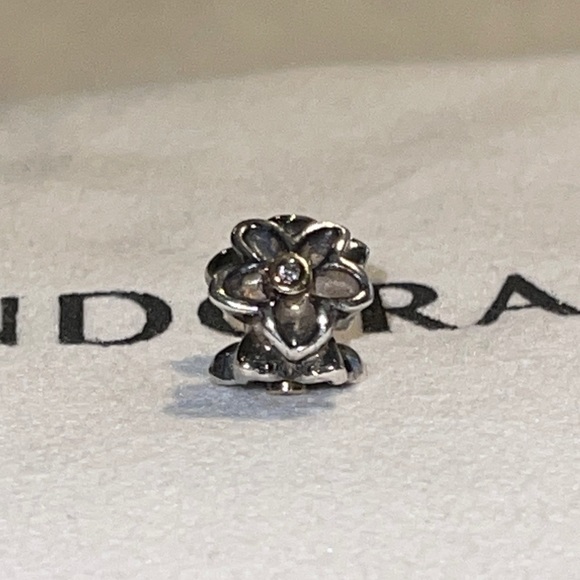 Pandora Retired He Loves Me - Picture 3 of 3